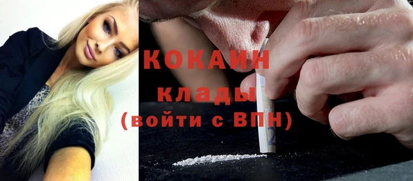 мдпв Гусь-Хрустальный