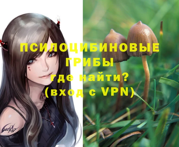 кокаин премиум Гусев