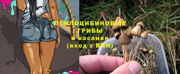 мдпв Гусь-Хрустальный