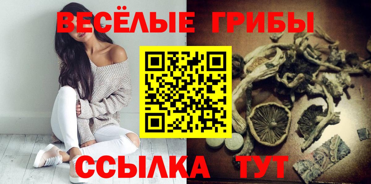 Псилоцибиновые грибы MAGIC MUSHROOMS Донской